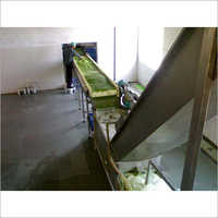 Frozen Vegetable Processing Line Capacity: 1000 Kg/hr