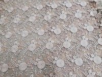 Net Embroidery Fabrics