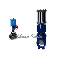 Stainless Steel Pneumatic Gate Valve
