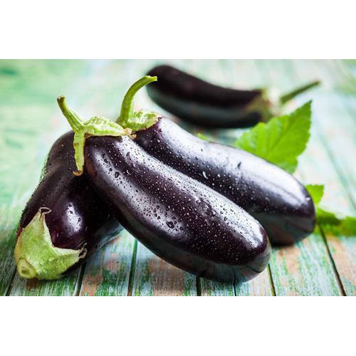 Fresh Brinjal