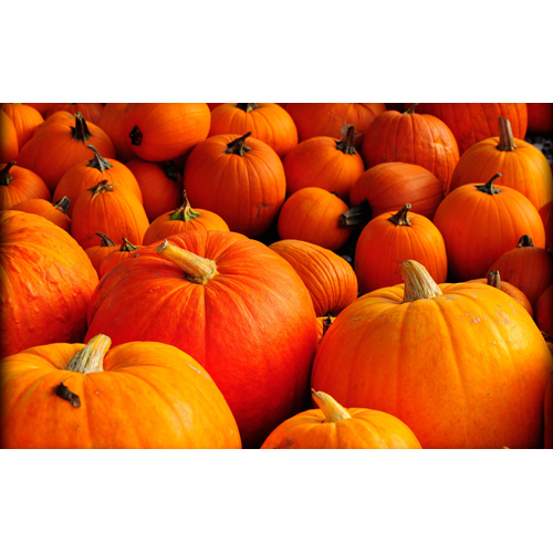 Gold Pumpkin