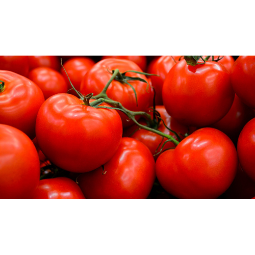 Tomato