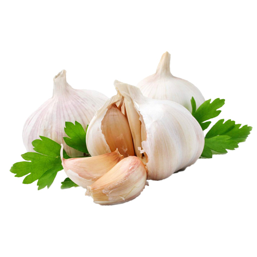Fresh Garlic