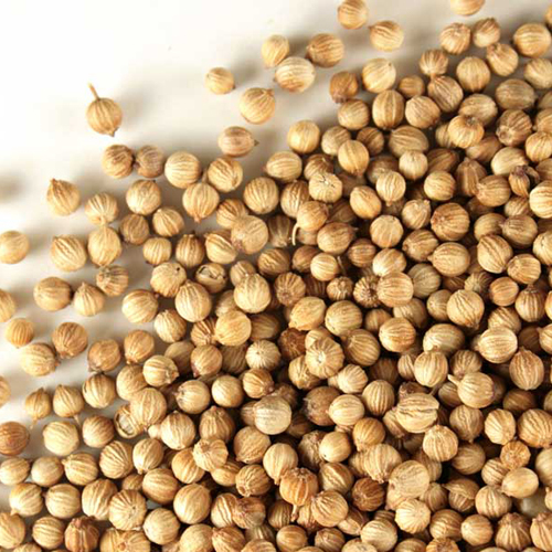 Raw Coriander Seeds
