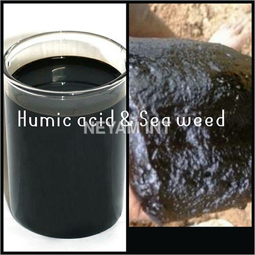 Humic Acid
