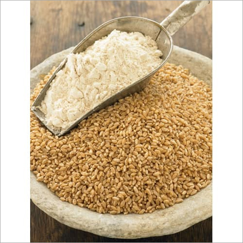 Wheat Flour - Finely Milled Off-White 25kg | High Protein Fine Texture Versatile Use Moisture 13-15%