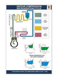 Pvc Wall Charts