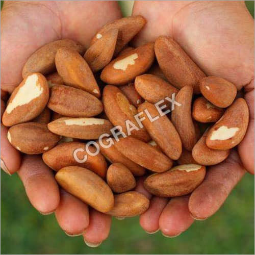 Brazil Nuts