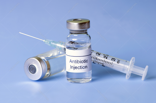 Liquid Antibiotic Injections