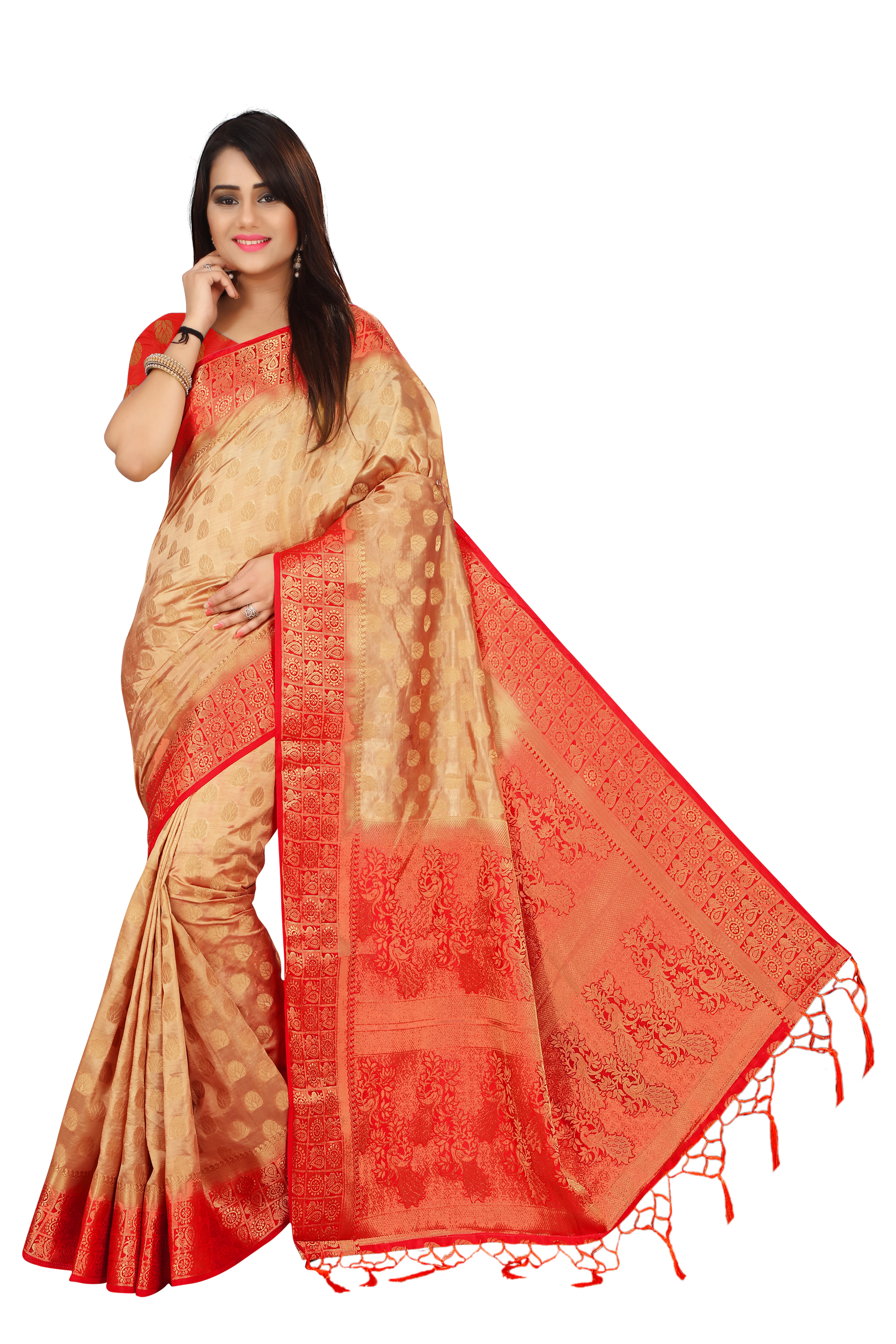 Designer Kanjivaram Saree
