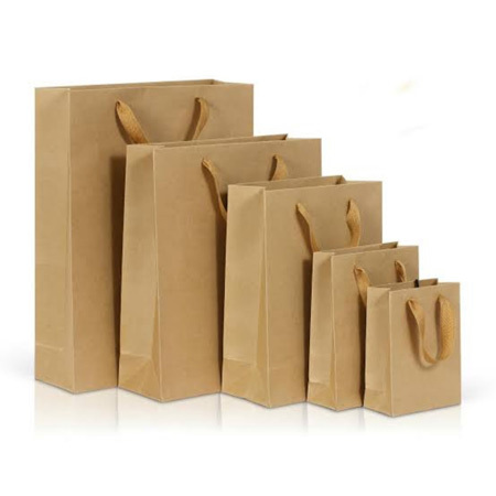 Plain Brown Paper Bag
