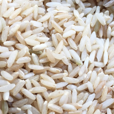 Unpolish Brown Rice
