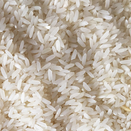 Sona Masoori Rice