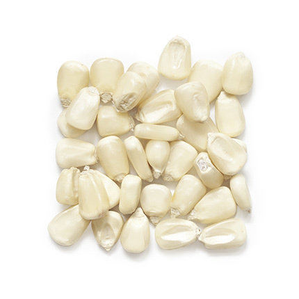 White Maize