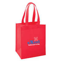 Non Woven Shopping Bag