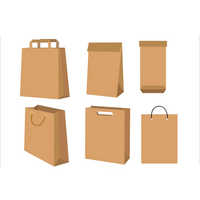 Disposable Paper Carry Bag - Fine Grade Paper, Various Sizes And Alluring Colors | Eco-friendly Alternative To Plastic Bags, Ideal For Grocery Items