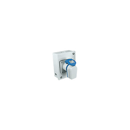 Domestic AC - Industrial Outlet