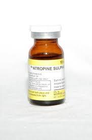 Atropine Autoinjector - 2 mg Atropine Sulfate in 0.7 mL Sterile Solution | Self-Administration for Muscarinic Symptoms in Pets, Suitable for Cats, Cattle, Dogs, and Horses