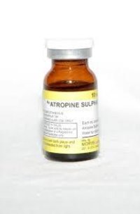Atropine Autoinjector - 2 Mg Atropine Sulfate In 0.7 Ml Sterile Solution | Self-administration For Muscarinic Symptoms In Pets, Suitable For Cats, Cattle, Dogs, And Horses