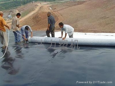 Geomembrane