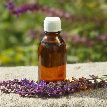Angelica Root Oil Ingredients: Herbal Extract