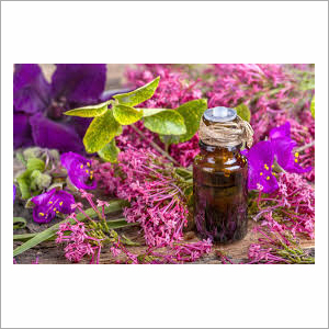 Clary Sage Oil