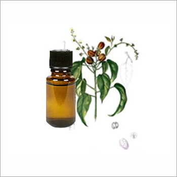 Croton Oil Ingredients: Herbal Extract