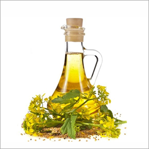Kapoor Katchari Oil - 100% Herbal Extract Fluid Liquid for Enhanced Fragrance and Pigmentation Reduction