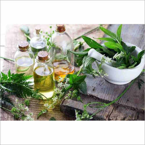 Marjoram Sweet Ingredients: Herbal Extract