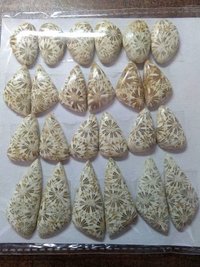 Fossil Jasper Stone Grade: Fine Good Polish