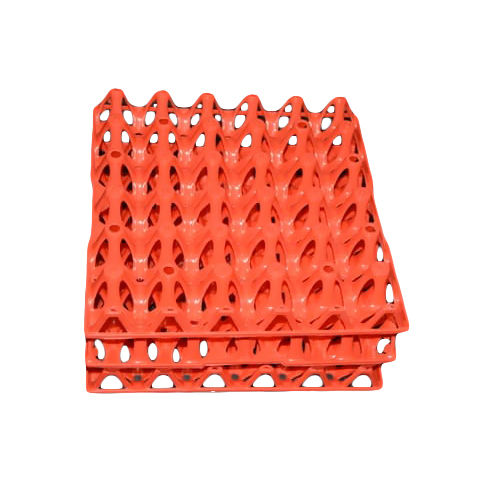 Commercial Plastic Egg Tray (hatchery)