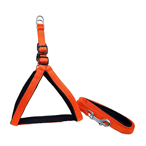 Dog Collar And Leash