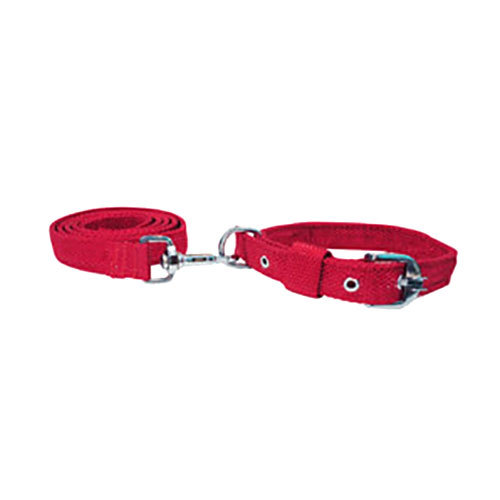 Nylon Pet Dog Buckle Collar