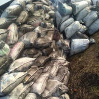 Carbon Powder