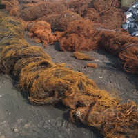 Tyre Wire Scrap