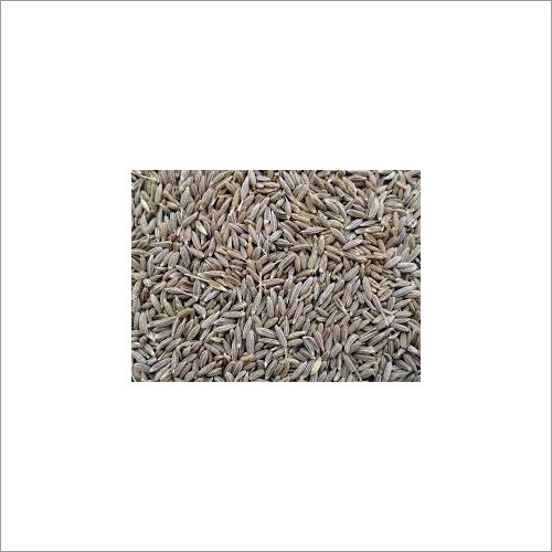 Cumin Seeds