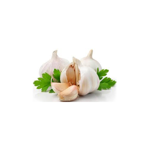 Fresh Garlic