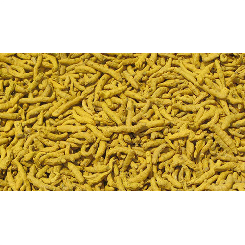 Turmeric Finger