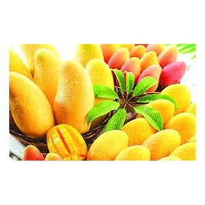 Fresh Juicy Mango