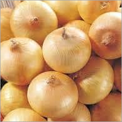 Fresh Yellow Onion