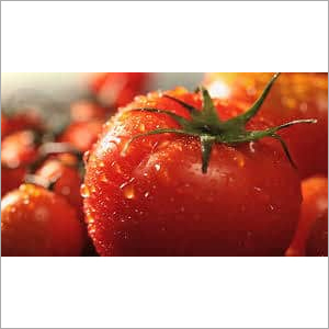 Organic Fresh Red Tomato