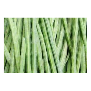 Organic Fresh Green Drumstick