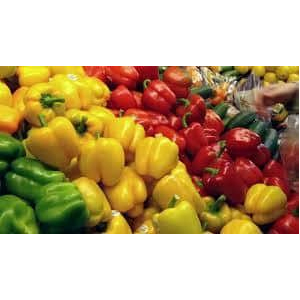 Fresh Capsicum
