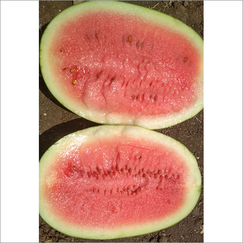 Fresh Watermelon