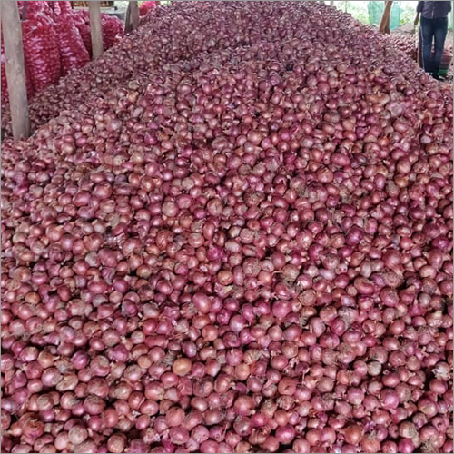 Red Onion