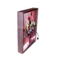 Translite Light Box Application: Outdoor