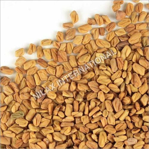 Fenugreek  Seed