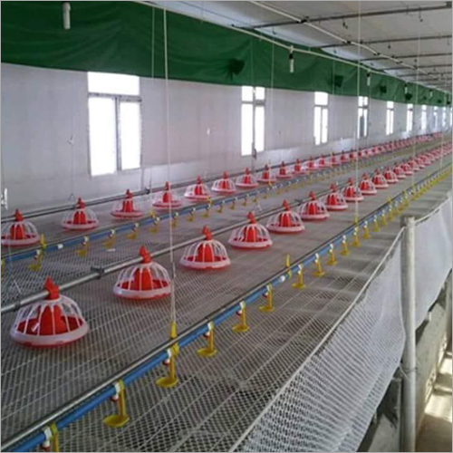 Automatic Poultry Drinking System