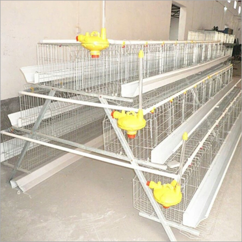 Poultry Cages
