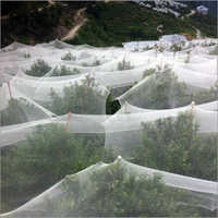 Anti Hail Net Application: Agriculture